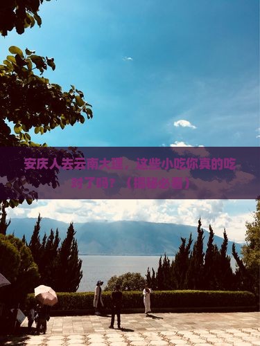 安庆去云南大理旅游小吃