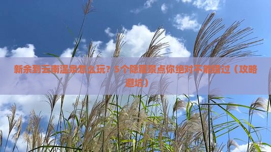 新余到云南温泉哪里玩