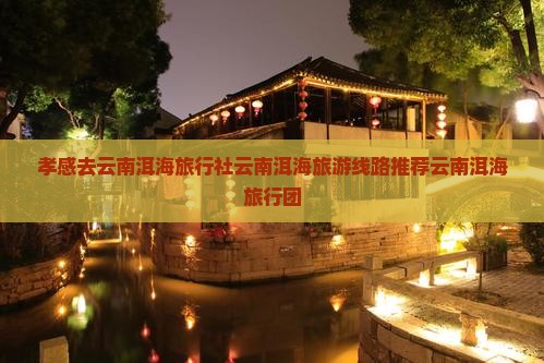 孝感去云南洱海旅行社