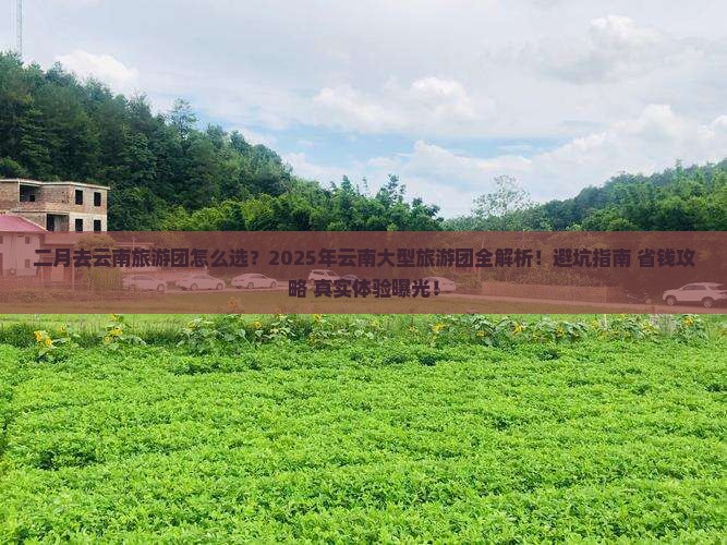 二月到云南大型旅游团