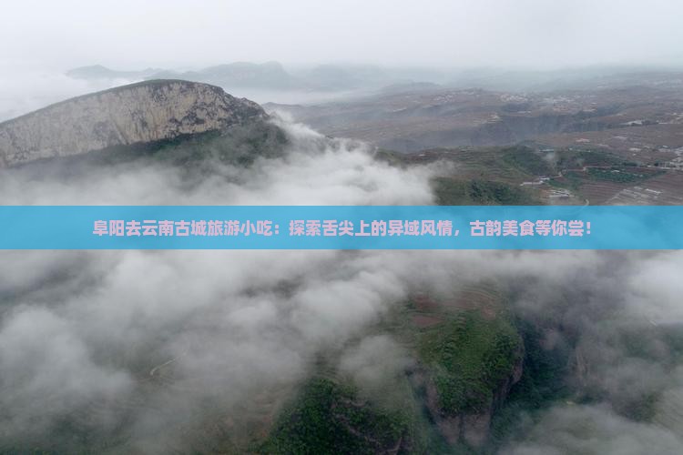 阜阳去云南古城旅游小吃