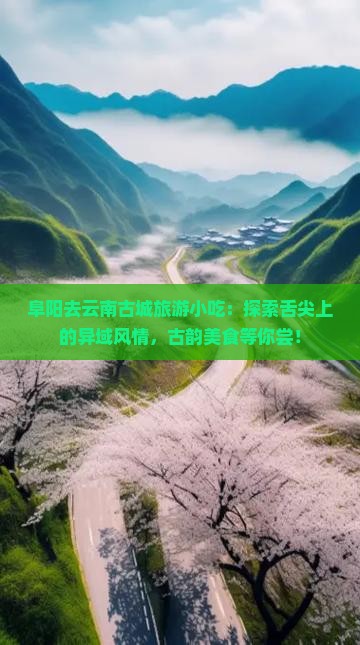 阜阳去云南古城旅游小吃