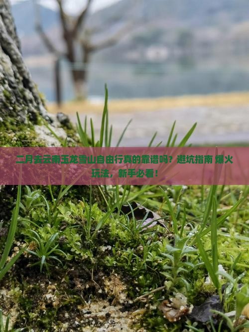 二月到云南玉龙雪山自由行