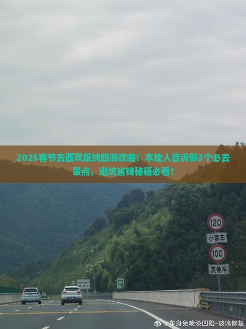 春节去云南西双版纳旅游