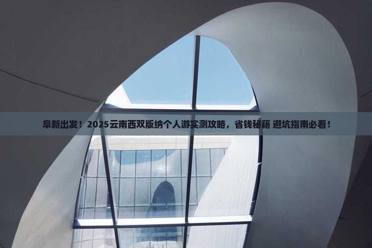 阜新到云南西双版纳个人游
