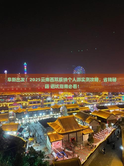 阜新到云南西双版纳个人游