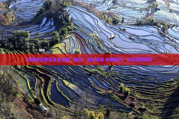 铜陵去云南温泉自由团