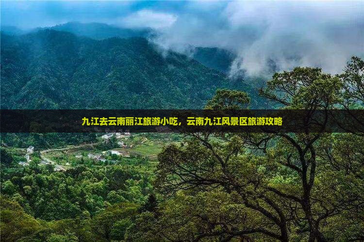 九江去云南丽江旅游小吃