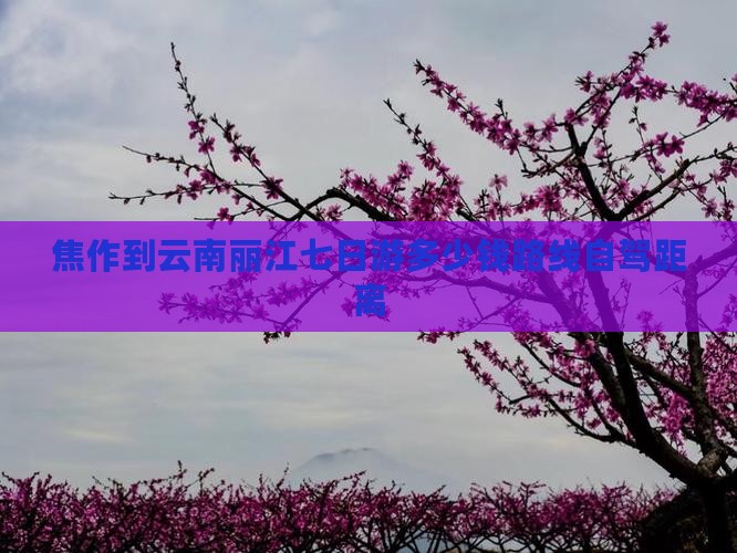 焦作到云南丽江七日游