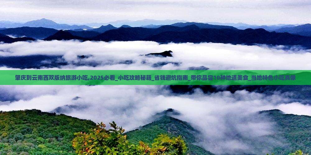 肇庆到云南西双版纳旅游小吃