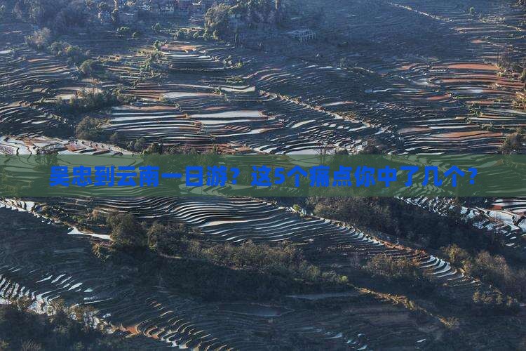 吴忠到云南一日