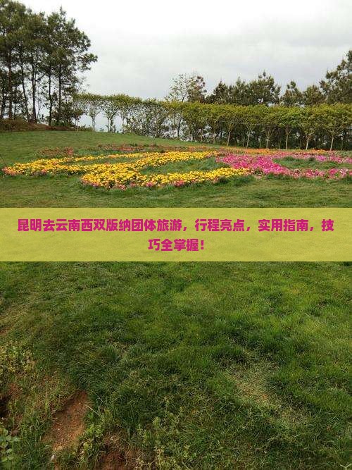 昆明去云南西双版纳团体旅游