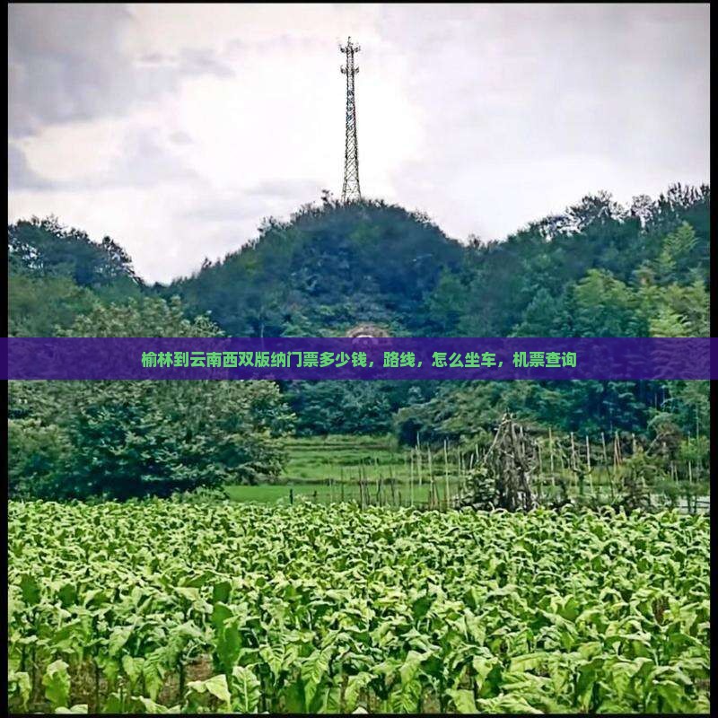 榆林到云南西双版纳门票