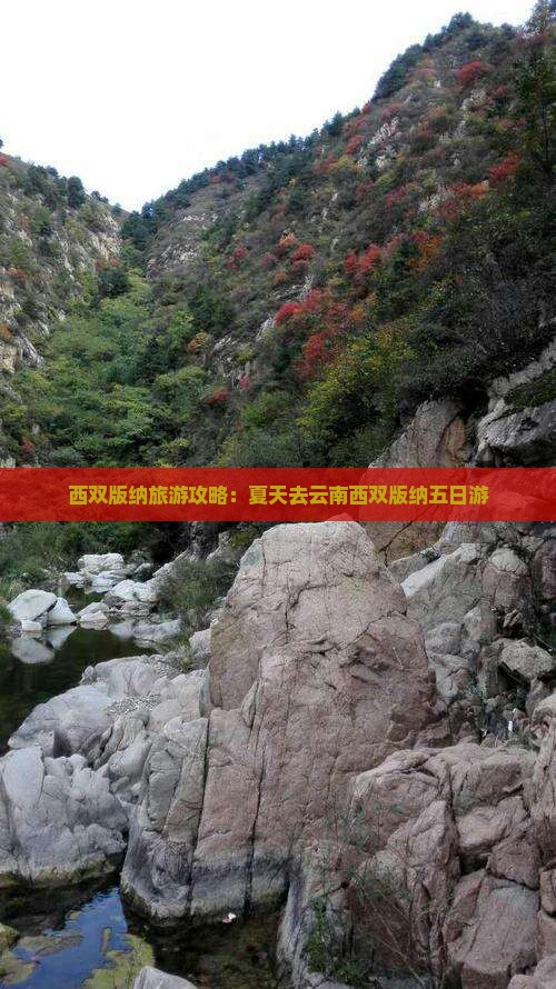 夏天去云南西双版纳五日游