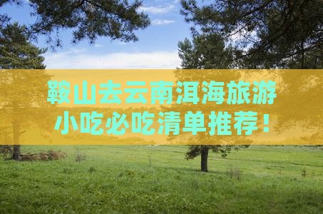 鞍山去云南洱海旅游小吃