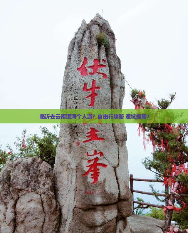 临沂去云南洱海个人游