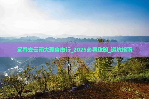 宜春去云南大理自由行