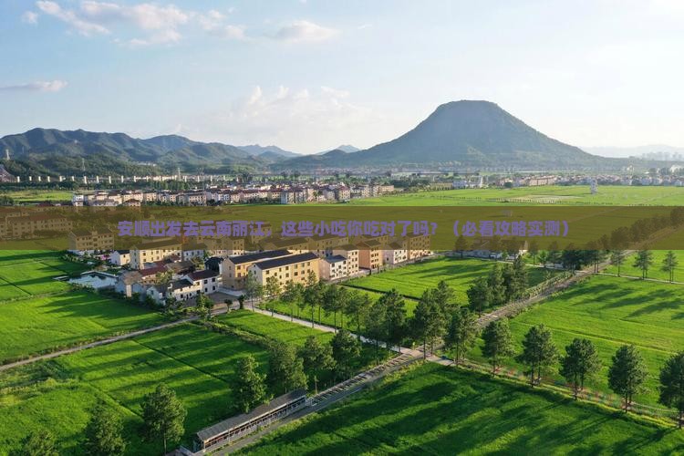 安顺去云南丽江旅游小吃