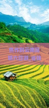 焦作到云南昆明六日游
