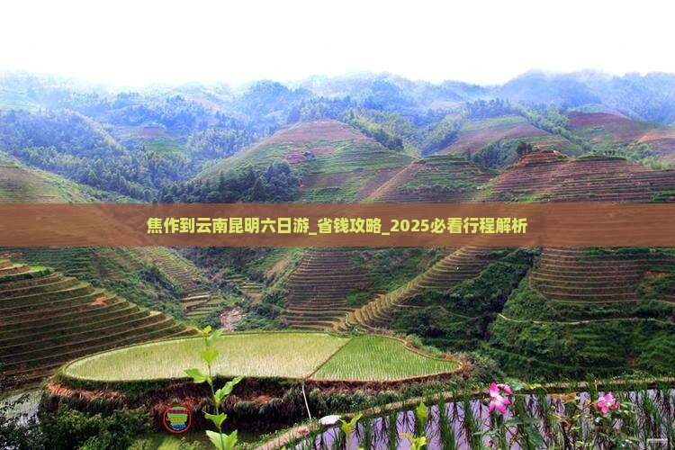 焦作到云南昆明六日游