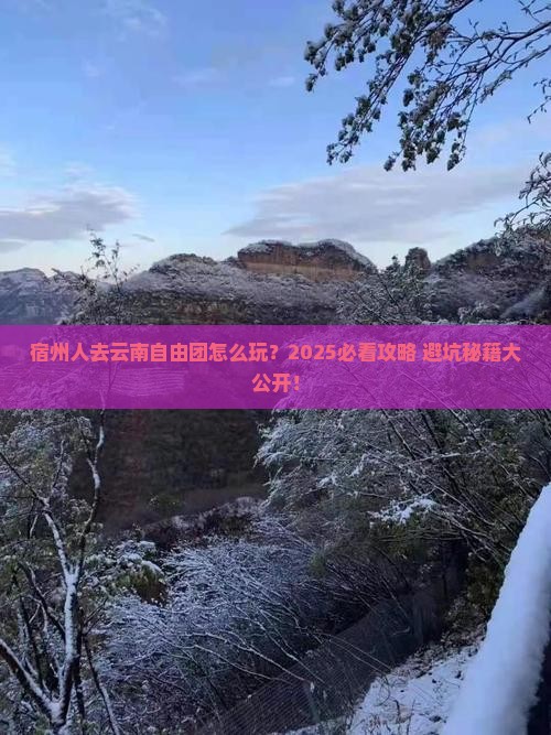 宿州去云南自由团