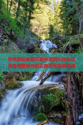 朔州到云南西双版纳旅游小吃