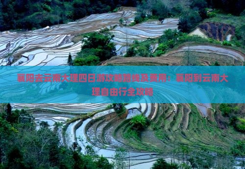襄阳去云南大理四日游
