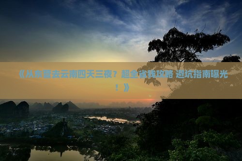 东营到云南四日游