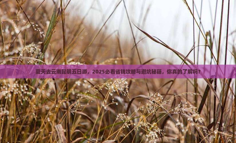 夏天去云南昆明五日游