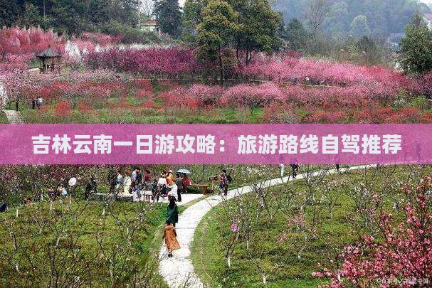 吉林去云南一日