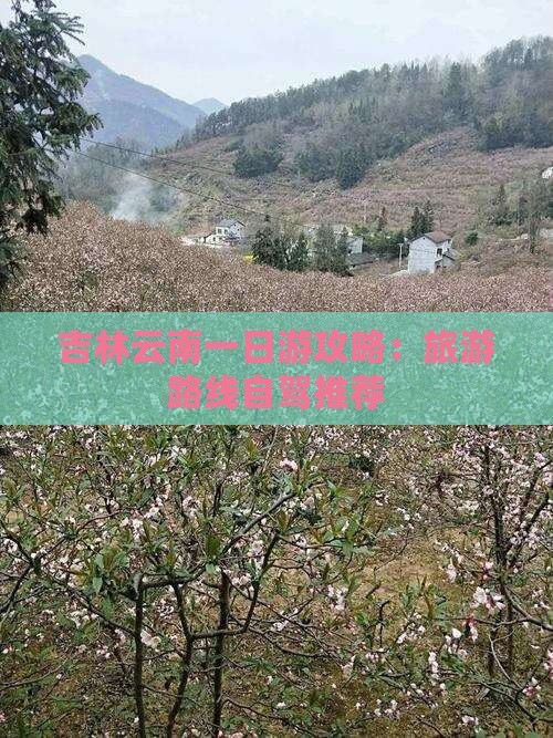 吉林去云南一日