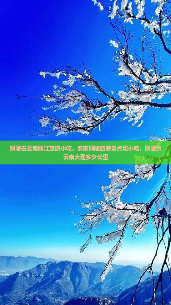铜陵去云南丽江旅游小吃