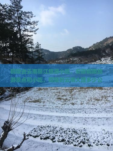 铜陵去云南丽江旅游小吃