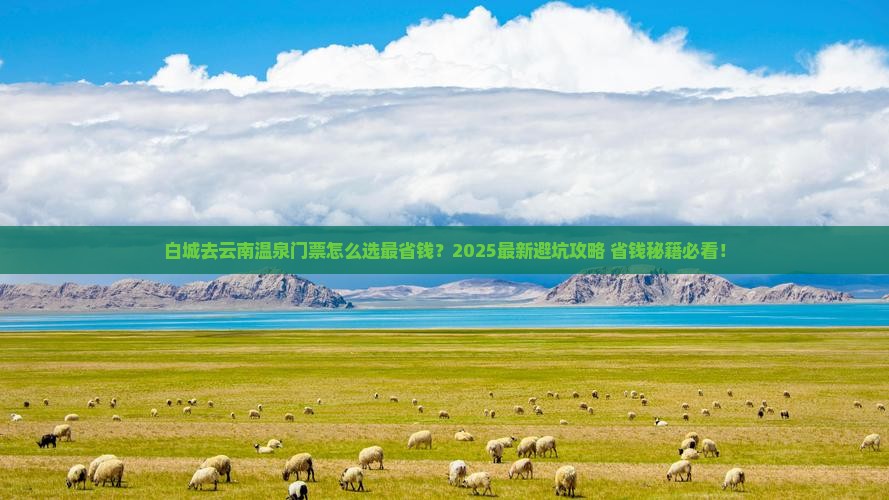 白城去云南温泉门票