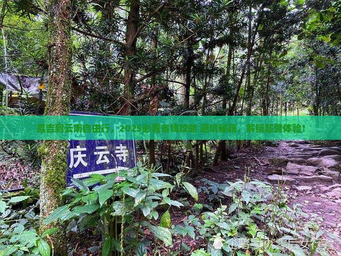 昌吉到云南自由团
