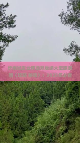 长春去云南西双版纳大型旅游团