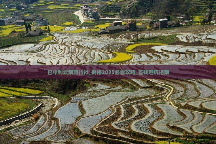 巴中到云南旅行社