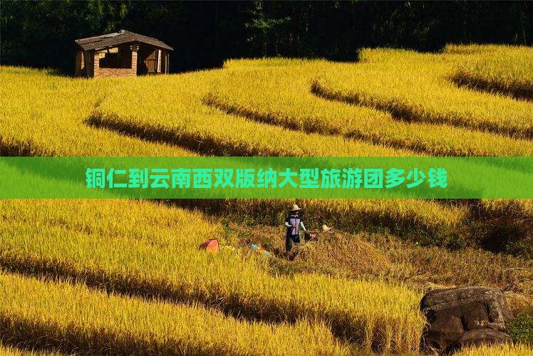 铜仁到云南西双版纳大型旅游团
