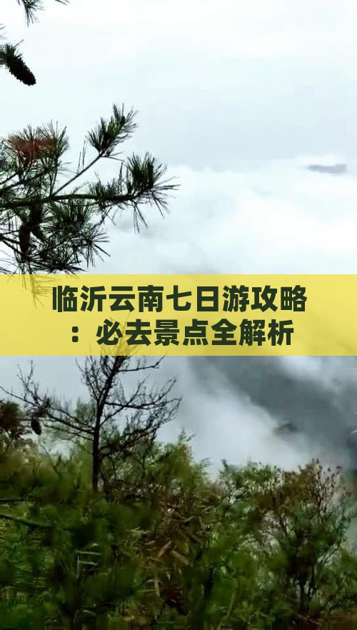 临沂去云南七日游