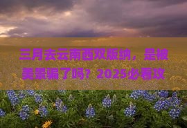 三月到云南西双版纳景点