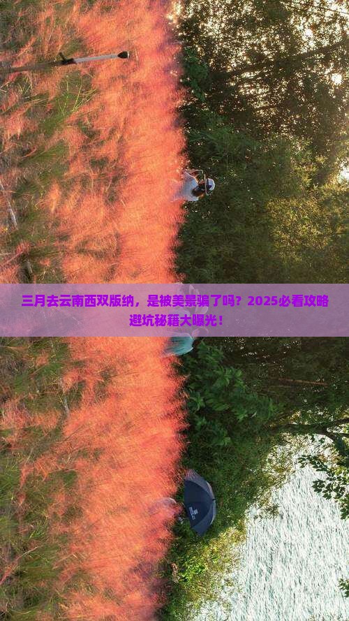 三月到云南西双版纳景点