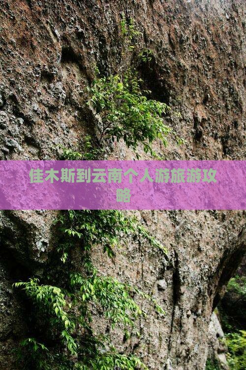佳木斯到云南个人游