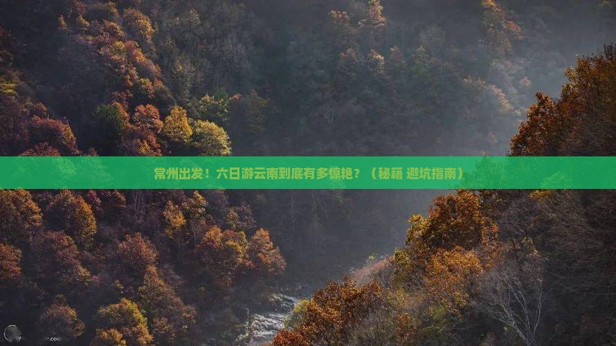 常州到云南六日游
