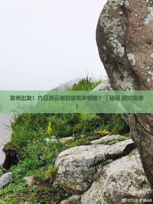 常州到云南六日游
