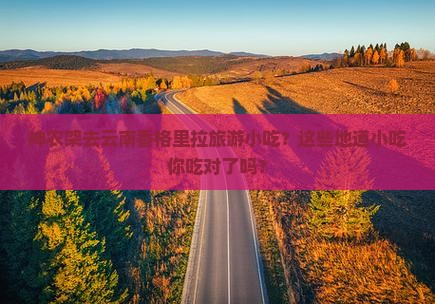 神农架去云南香格里拉旅游小吃
