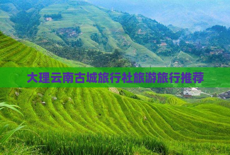 大理去云南古城旅行社