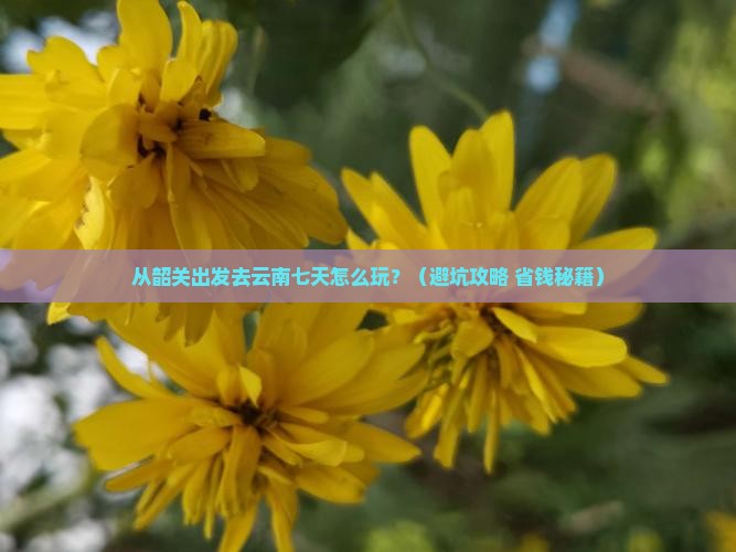 韶关去云南七日游