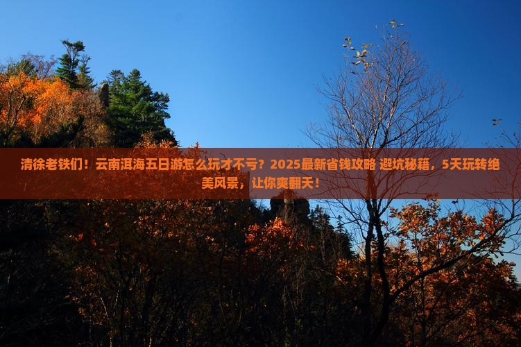 清徐到云南洱海五日游 清徐到云南洱海五日游