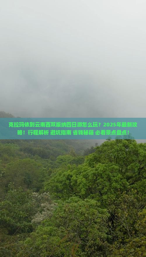 克拉玛依到云南西双版纳四日游