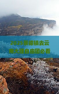 景德镇去云南大理自由团